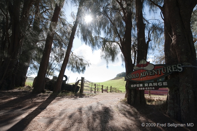 20091101_143915 D3.jpg - Ranch along Kohala Mountain Road, Hawaii